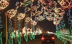 holiday lights at the beach